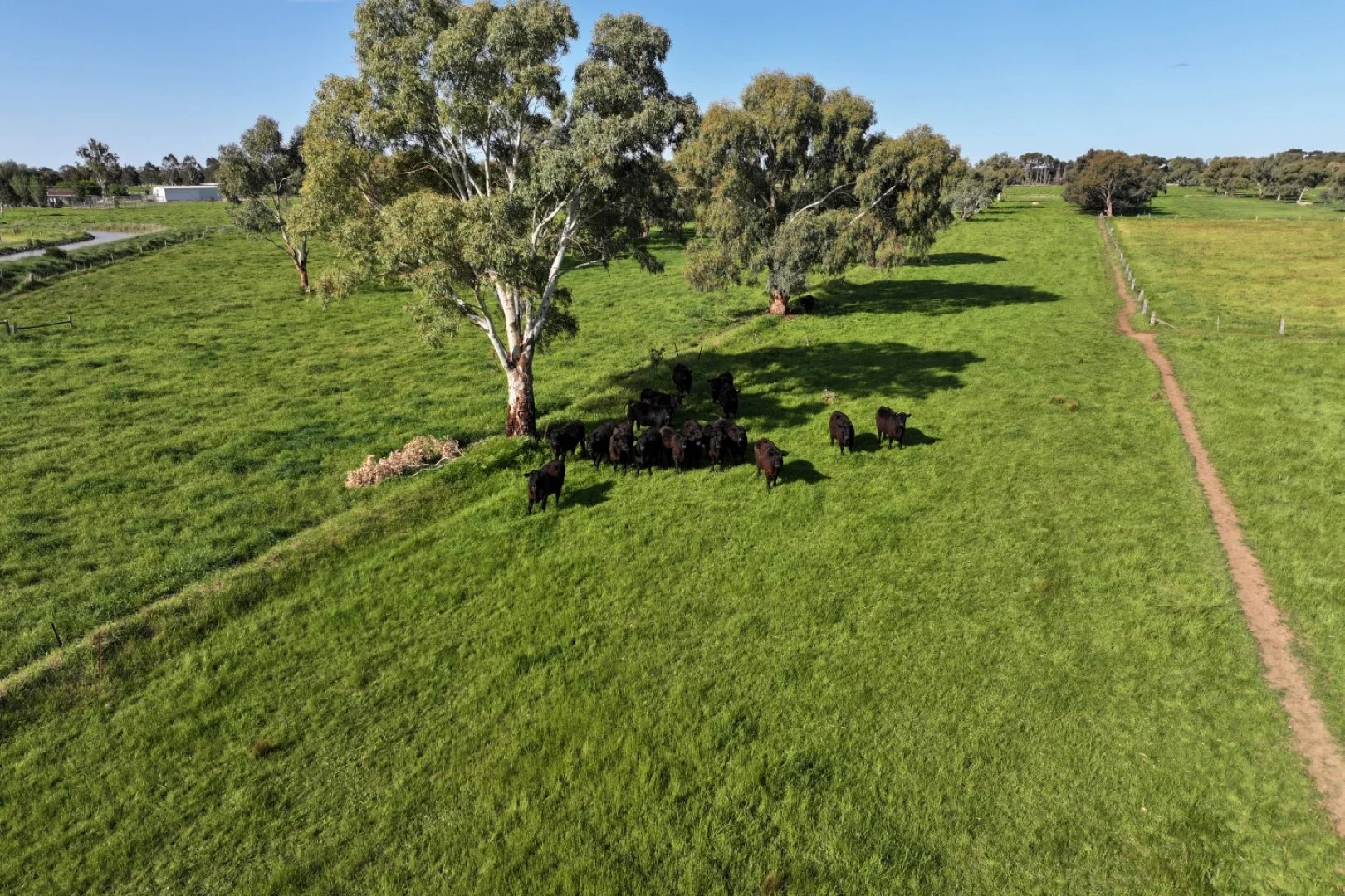 Additional image 4 of 252 Bamawm Road, Bamawm Extension VIC 3564