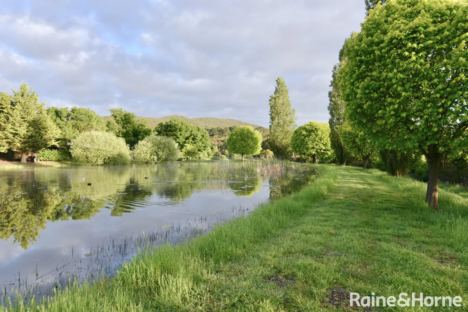 Additional image 13 of 52 Williams Lane, Riddells Creek VIC 3431