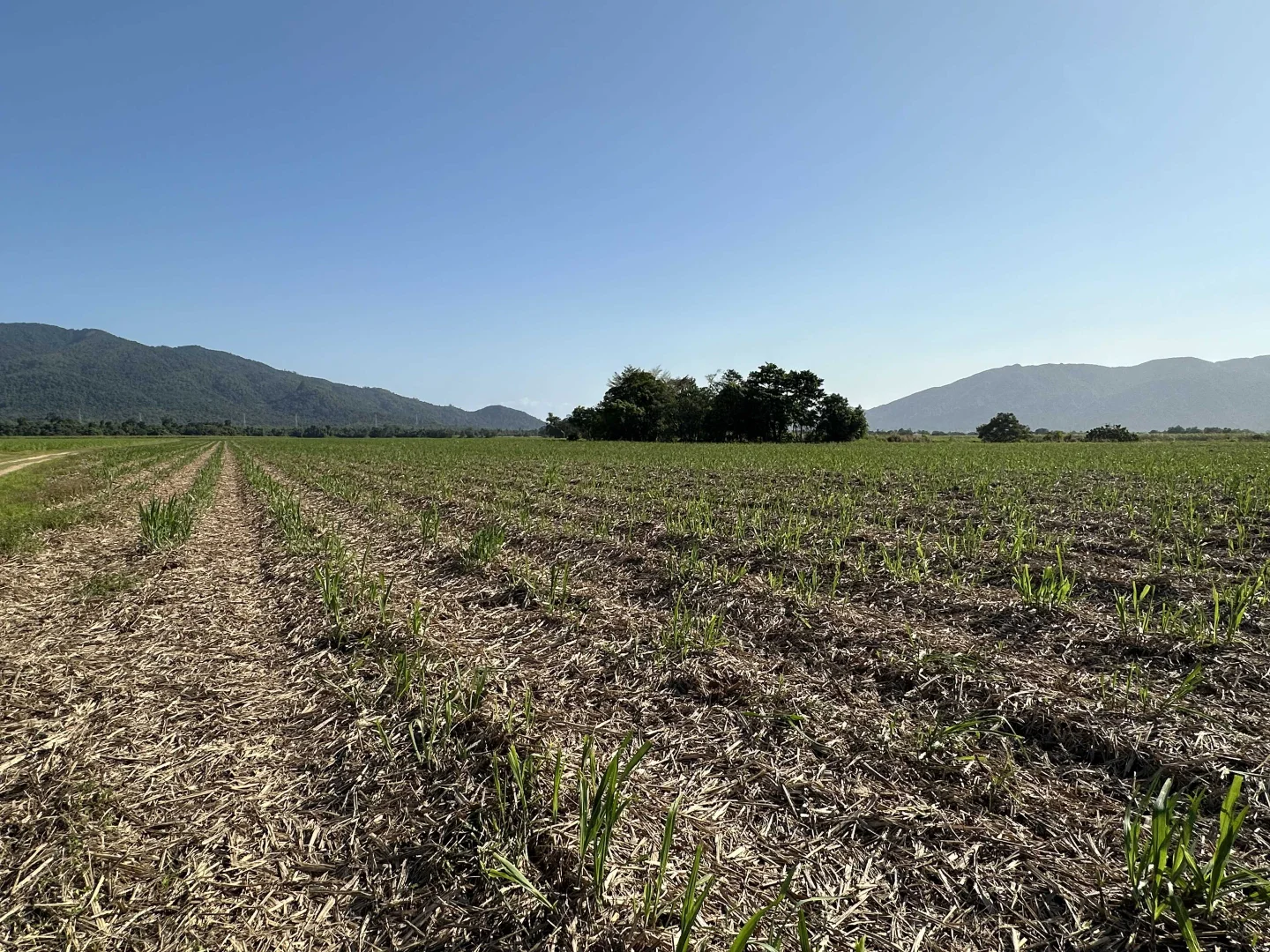 Additional image 19 of Lot 2 Broderick Road, Midgenoo QLD 4854