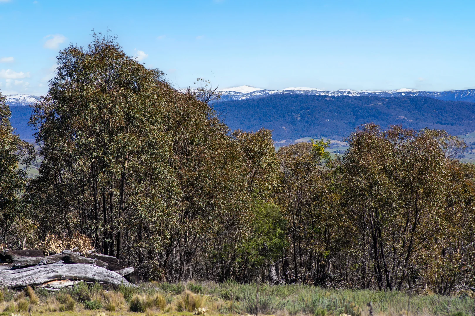 Additional image 3 of 421 Old Settlers Road, Jindabyne NSW 2627