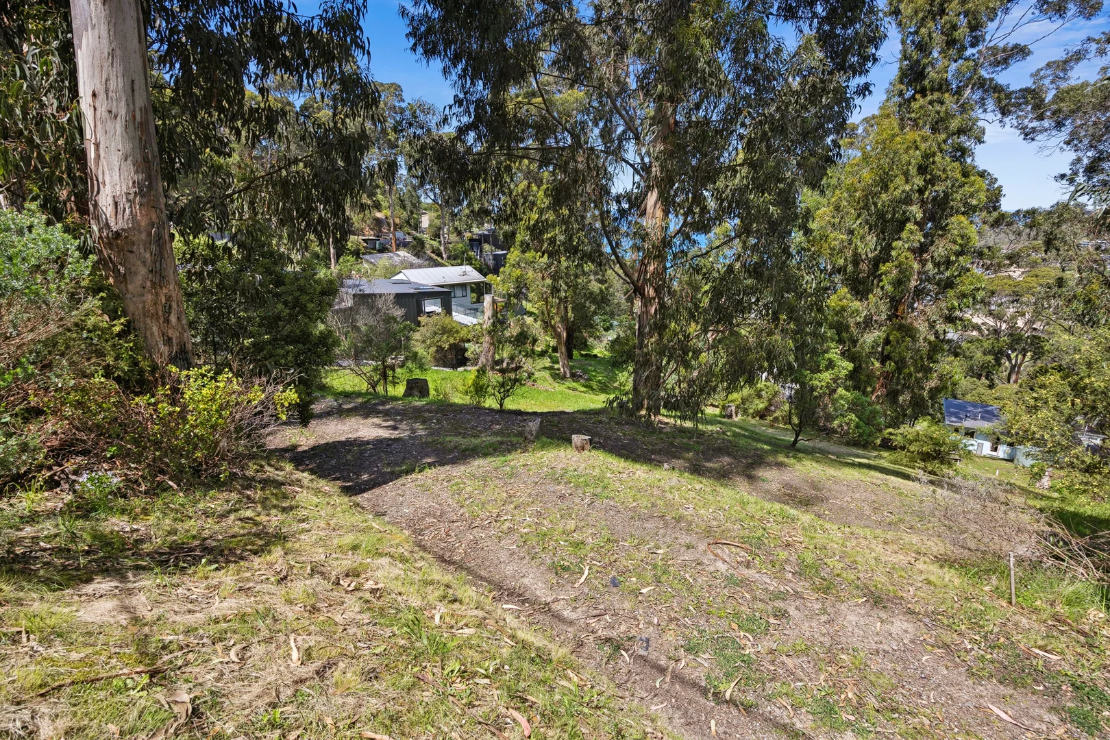 Additional image 3 of 8 Durimbil Avenue, Wye River VIC 3234