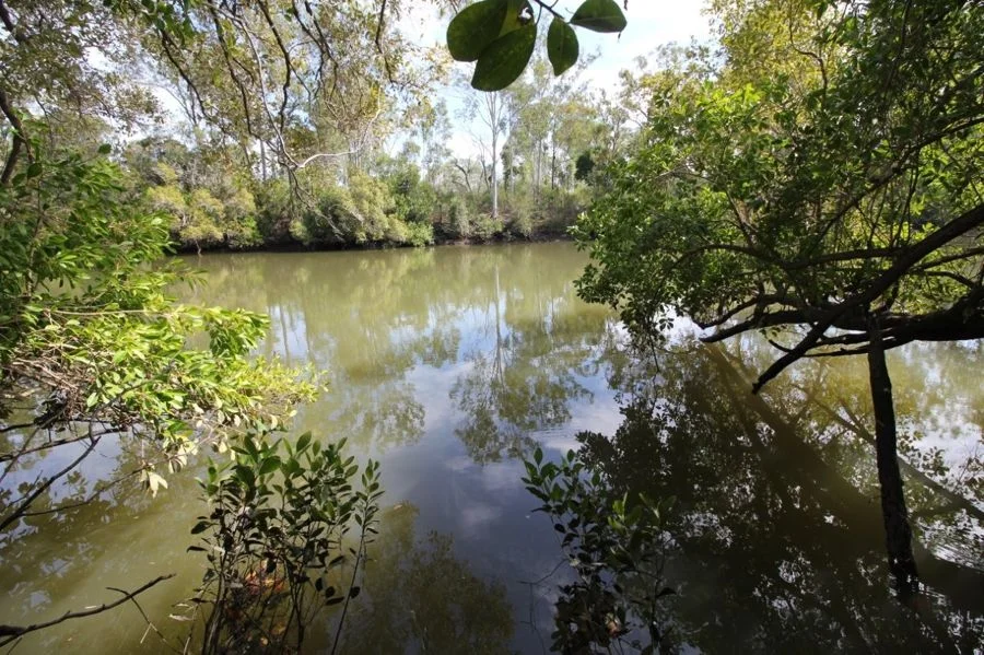 Additional image 18 of 310 MOLLENHAGENS ROAD, Winfield QLD 4670