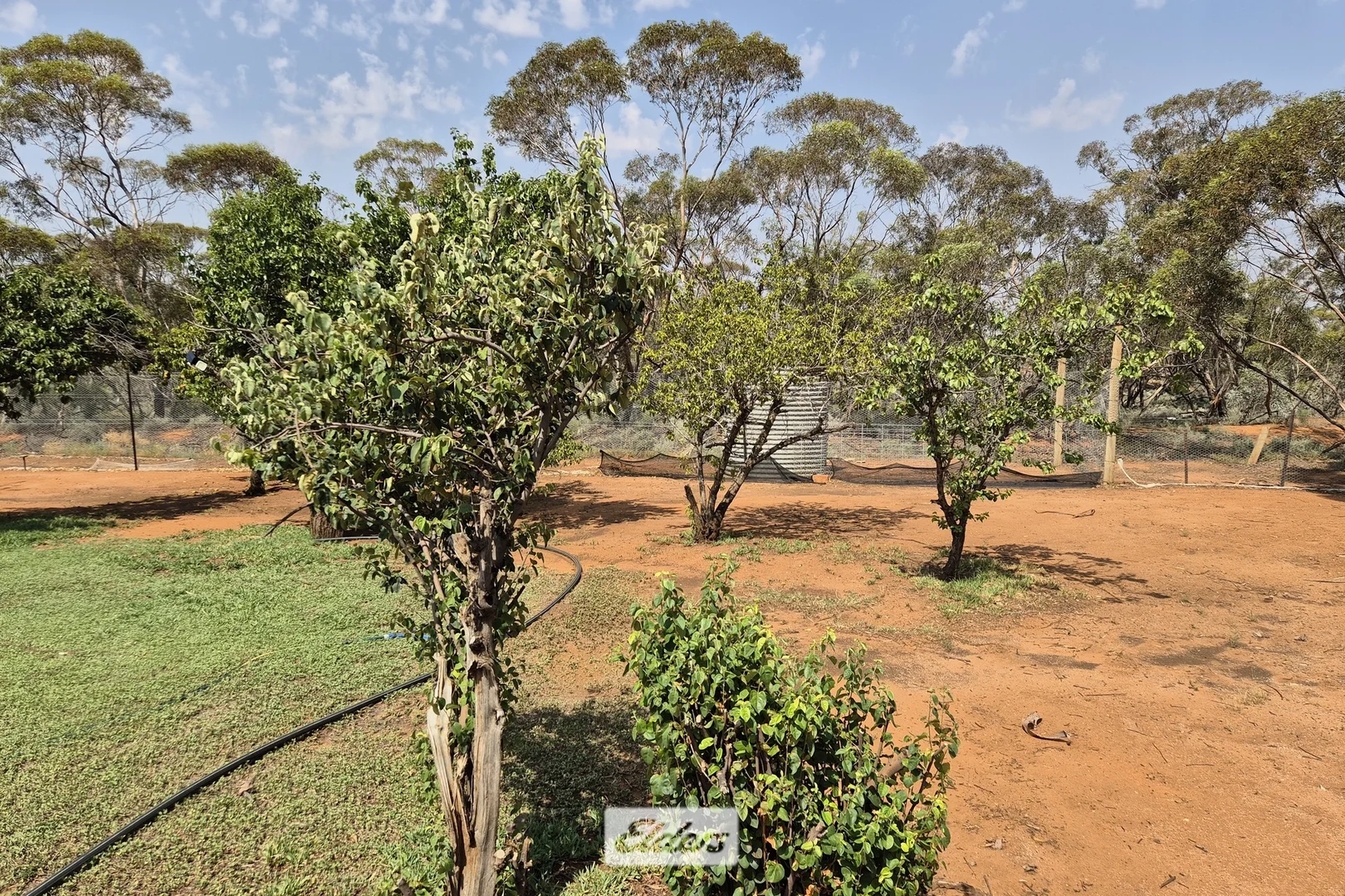 Additional image 24 of 877 Parallel Road, Manangatang VIC 3546
