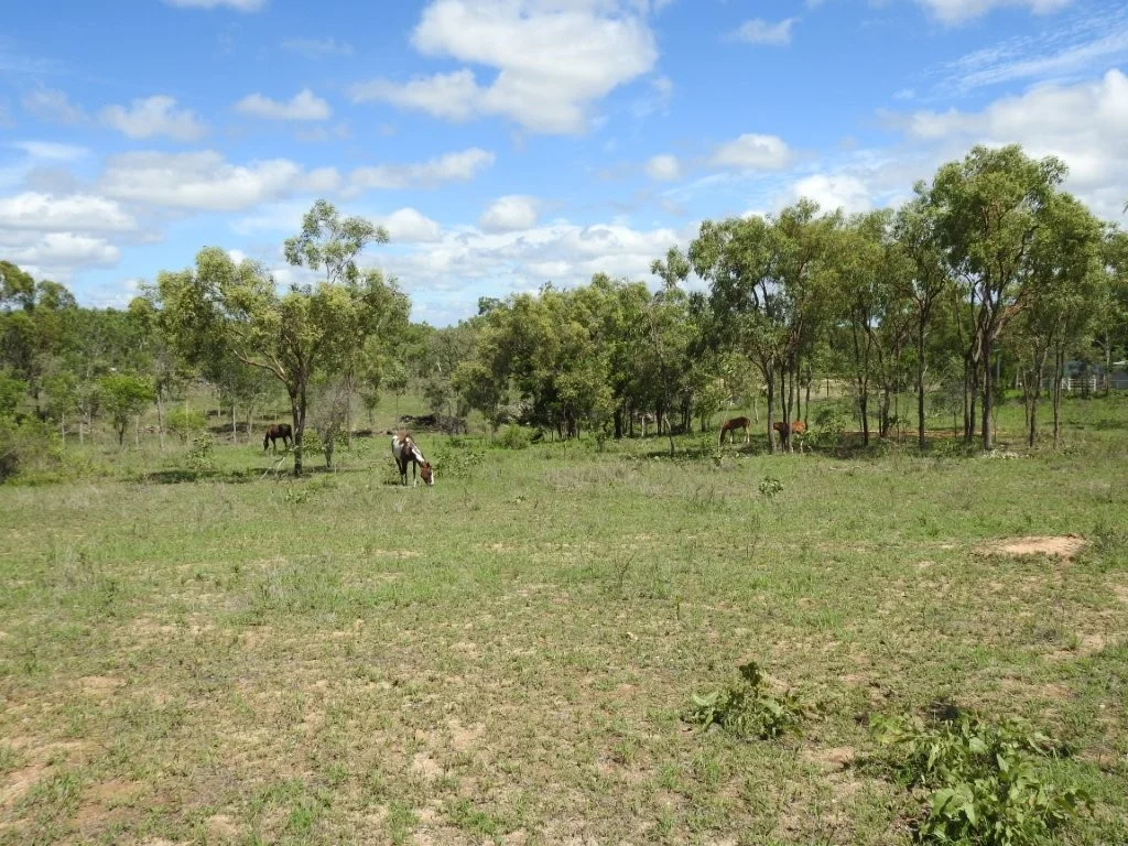 Additional image 25 of Flinders Highway, Breddan QLD 4820