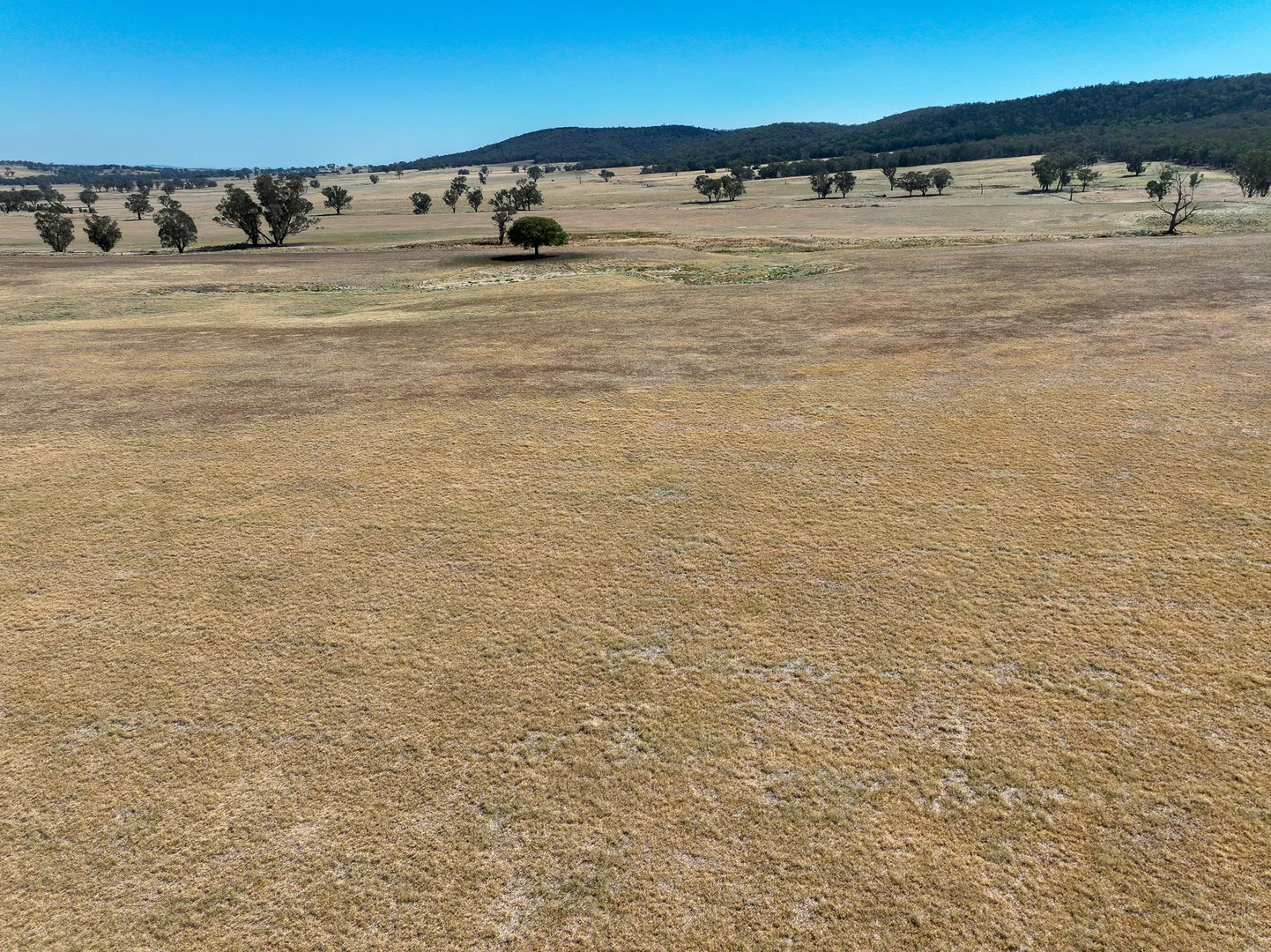 Additional image 11 of 'Yeronga' Piersons Road, Mangoplah NSW 2652