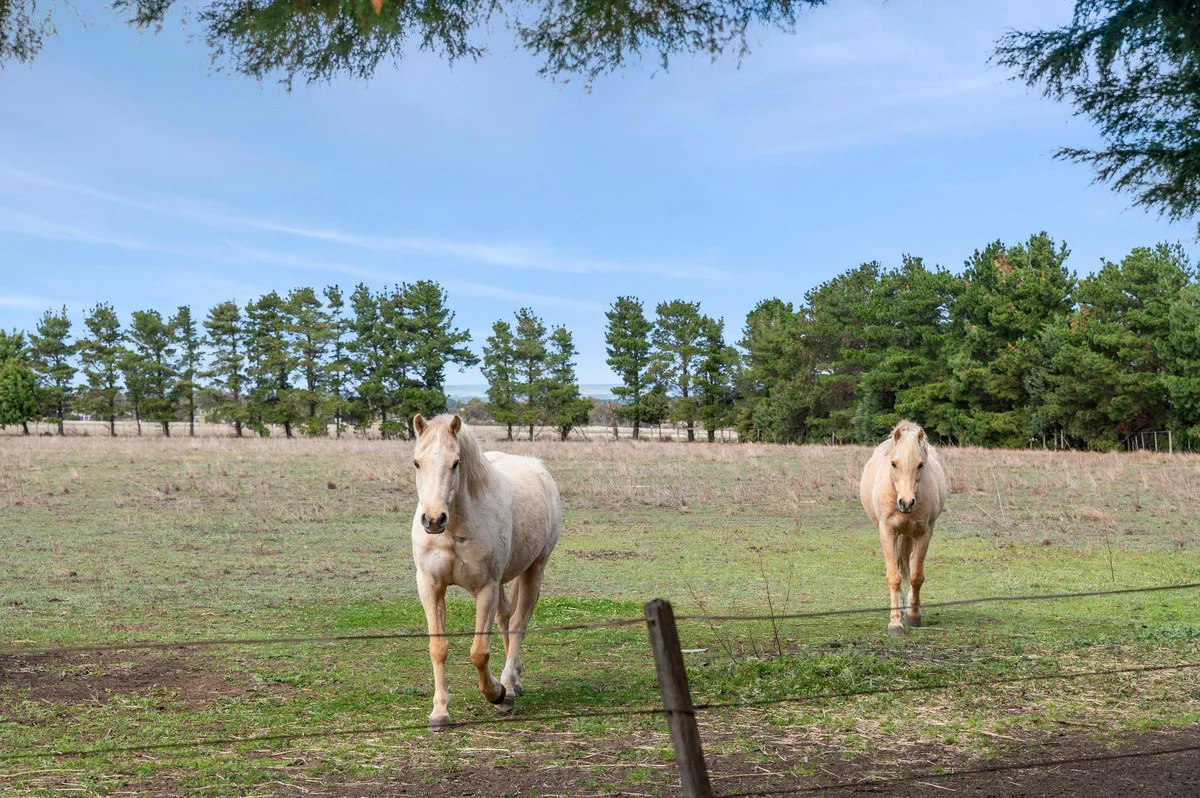 Additional image 23 of 1745 Geelong - Ballan Road, Anakie VIC 3213