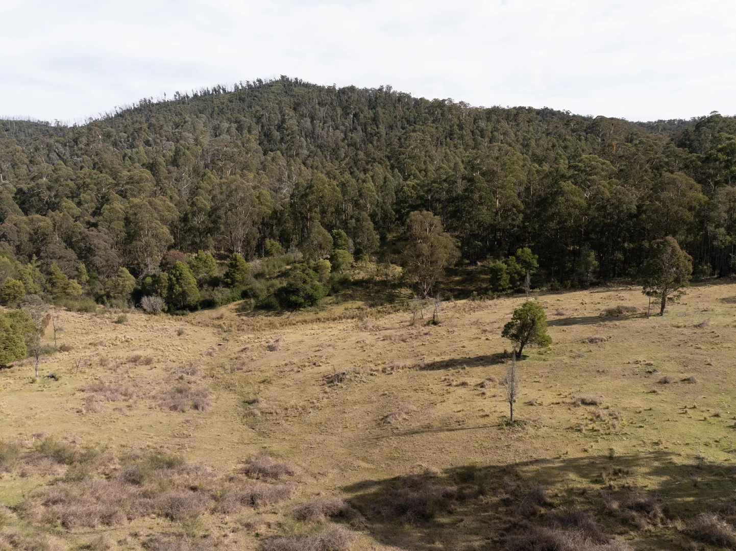 Additional image 4 of 25E/3954 Tulloch Ard Road, Buchan VIC 3885