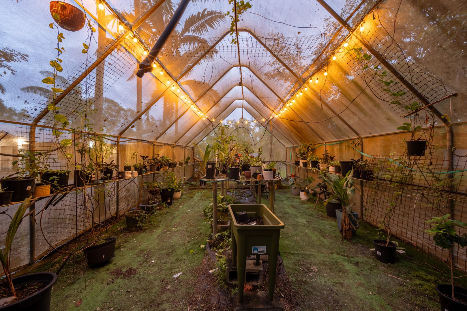 Additional image 24 of 414 Forestry Road, Bluewater Park QLD 4818