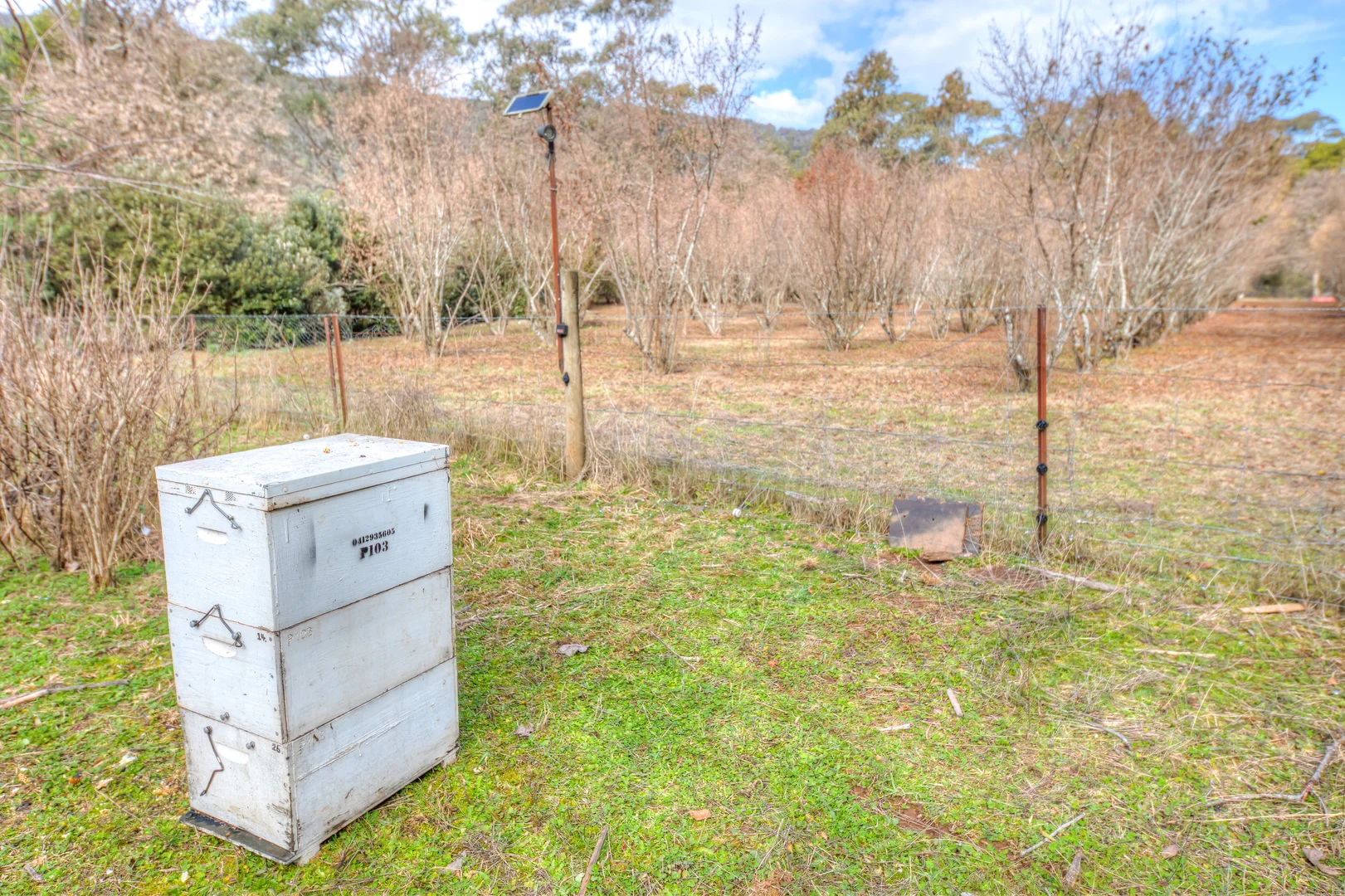 Additional image 7 of 828 Morses Creek Road, Wandiligong VIC 3744