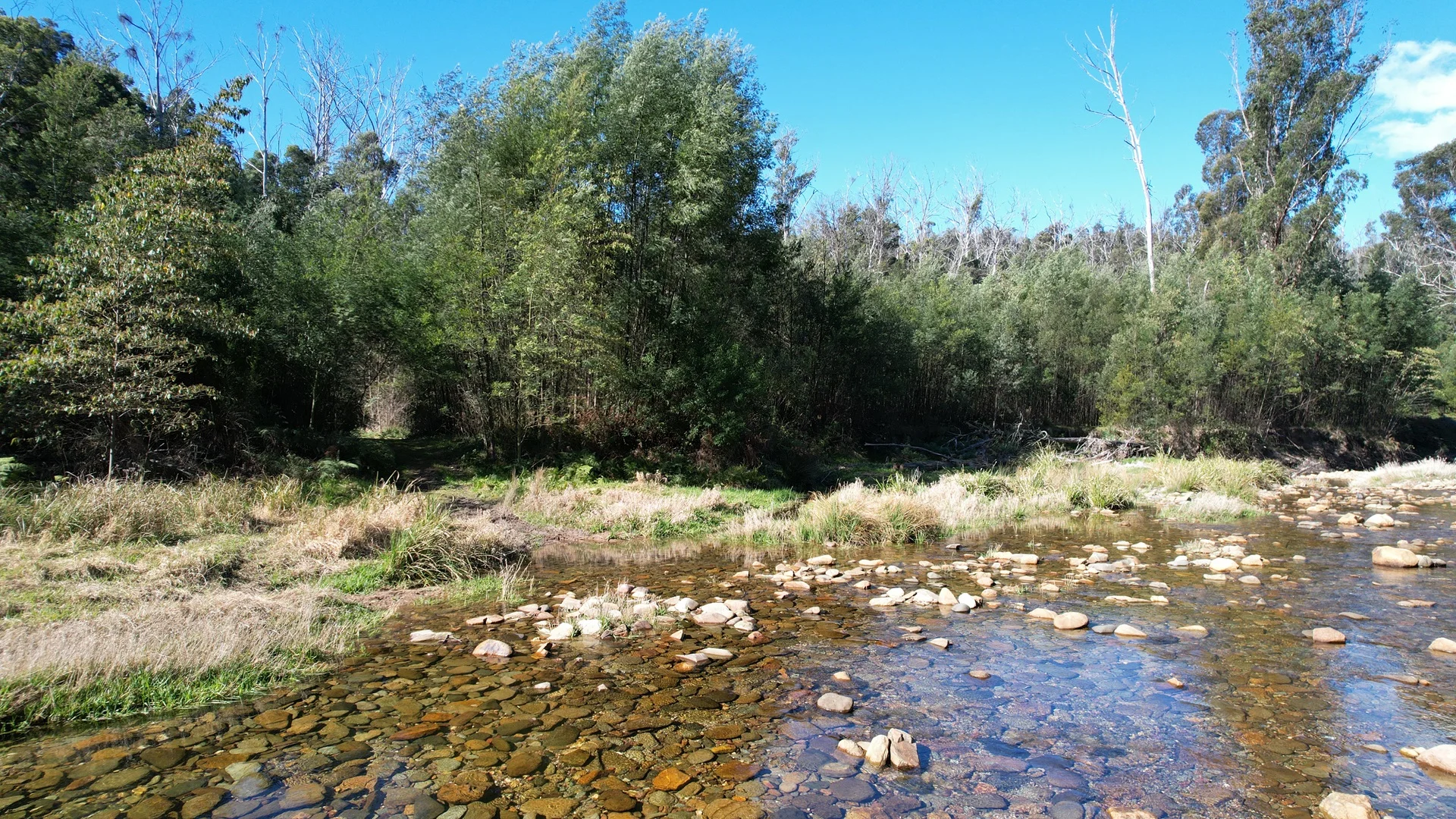 Additional image 38 of 115 Gulph Creek Road, Nerrigundah NSW 2545