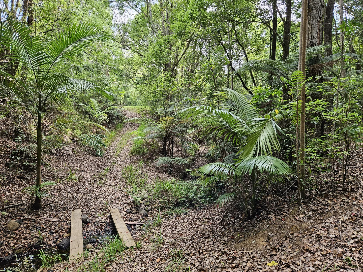 Additional image 29 of 139 Chowan Creek Road, Chowan Creek NSW 2484