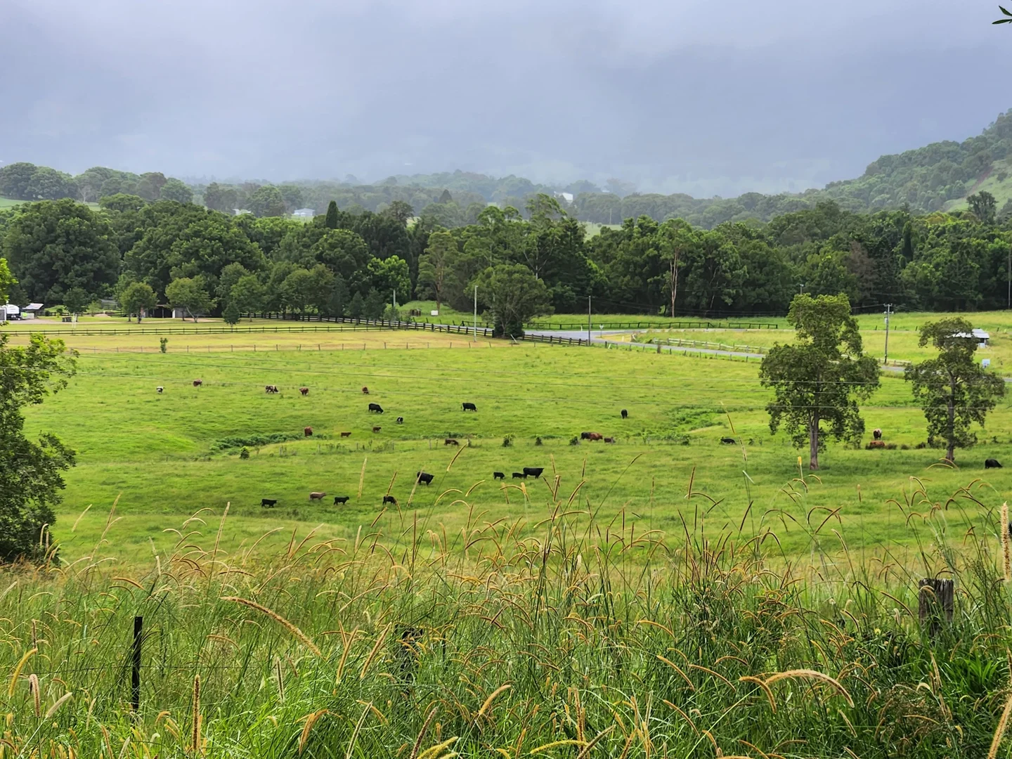 Additional image 20 of 30 Larkins Road, Tyalgum NSW 2484