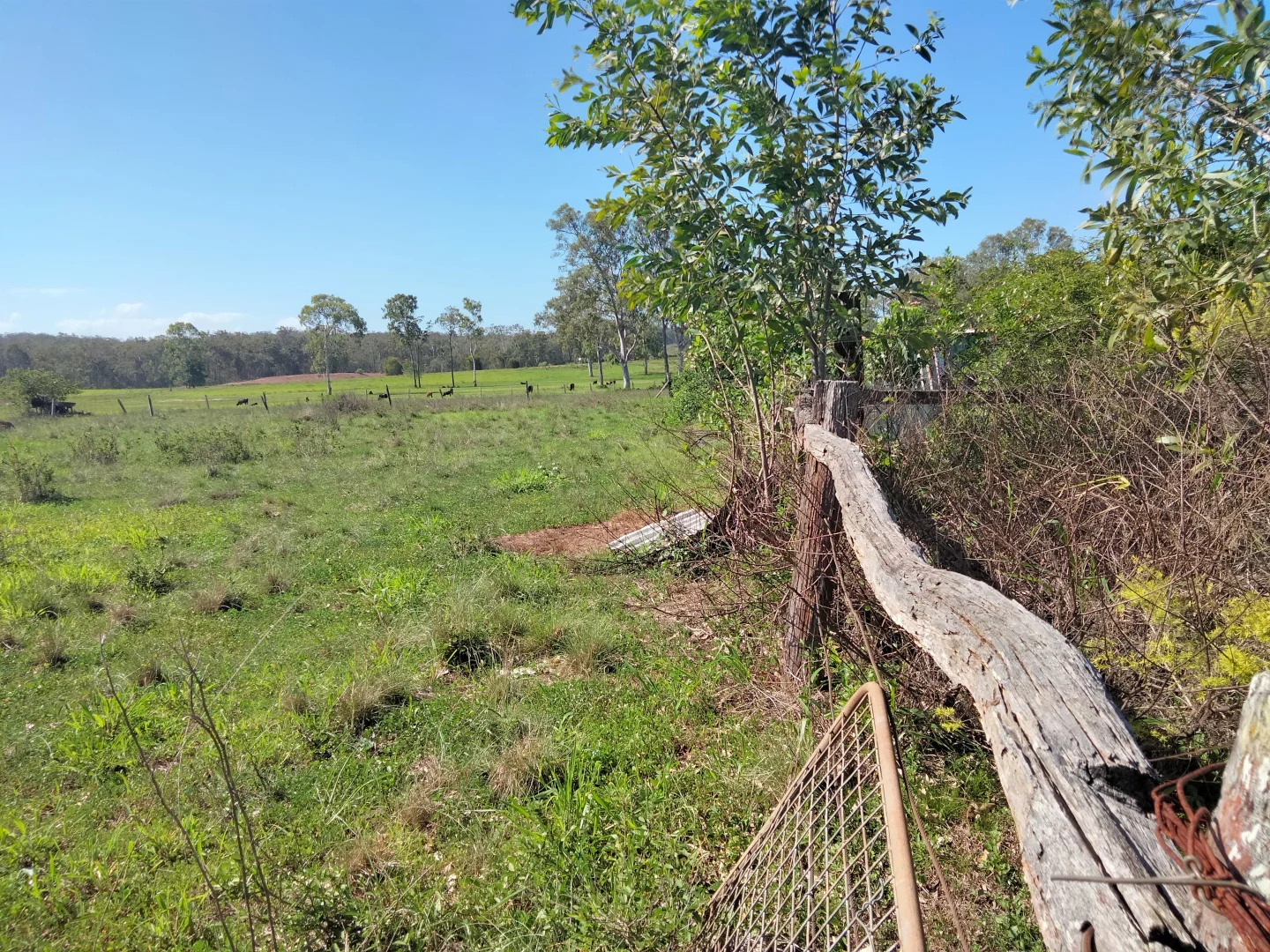 Additional image 44 of 2913 Rosedale Road, Yandaran QLD 4673