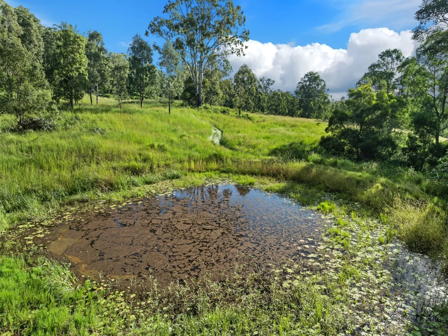Additional image 18 of 62-69 Duck Creek Road, Bonalbo NSW 2469