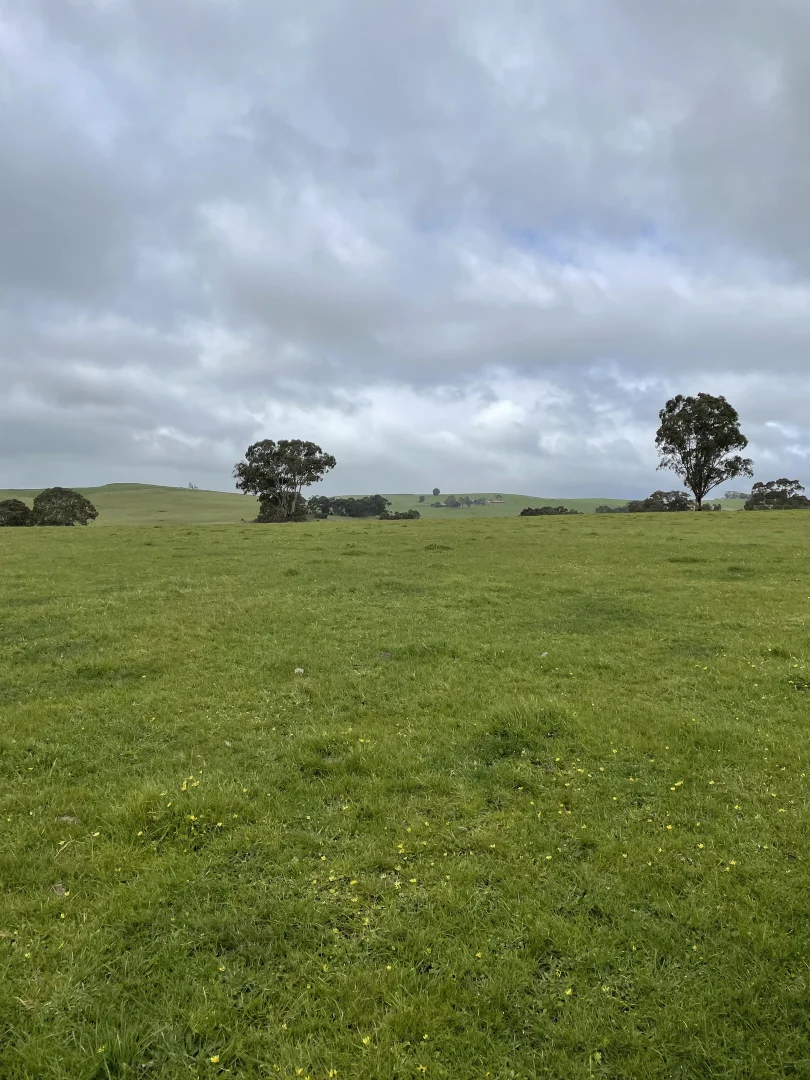 Additional image 8 of Portland-Casterton Road, Henty VIC 3312