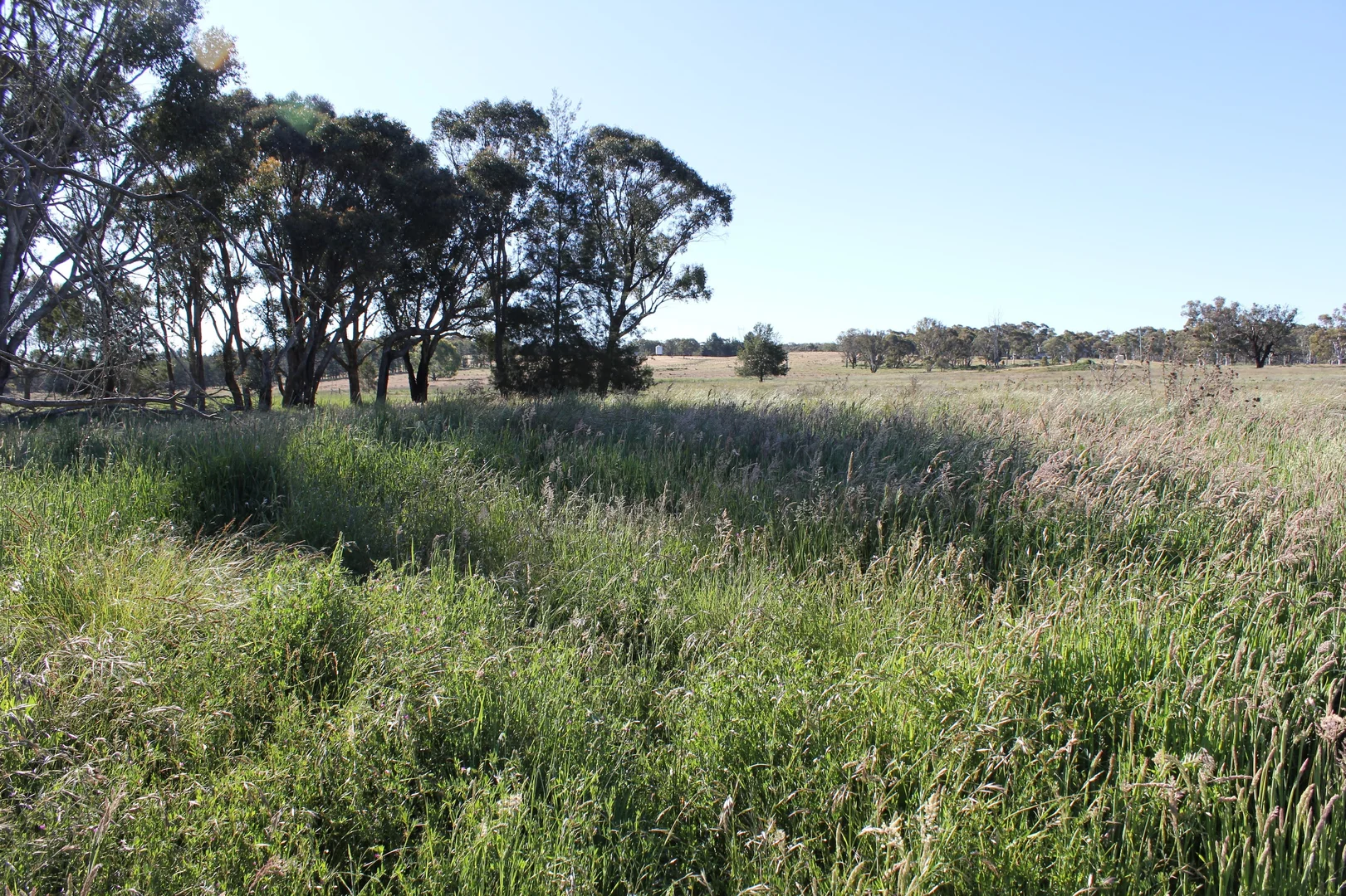 Additional image 8 of 48 & 98/413 Flacknell Creek Road, Gunning NSW 2581