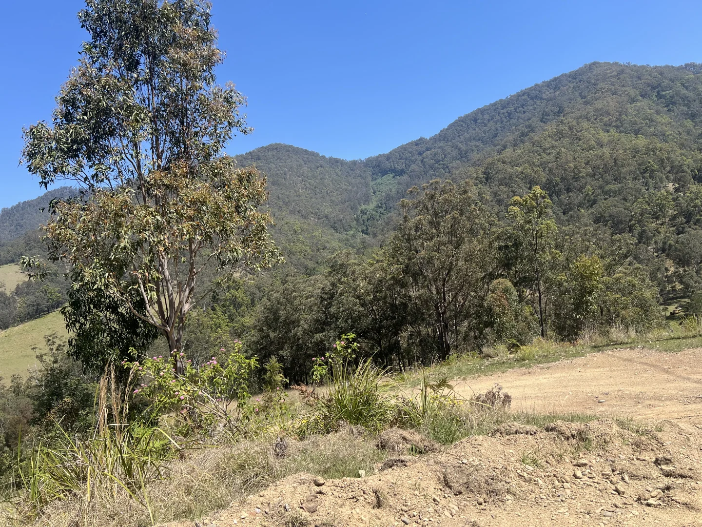 Additional image 28 of 179 Petroi Road, Lower Creek NSW 2440