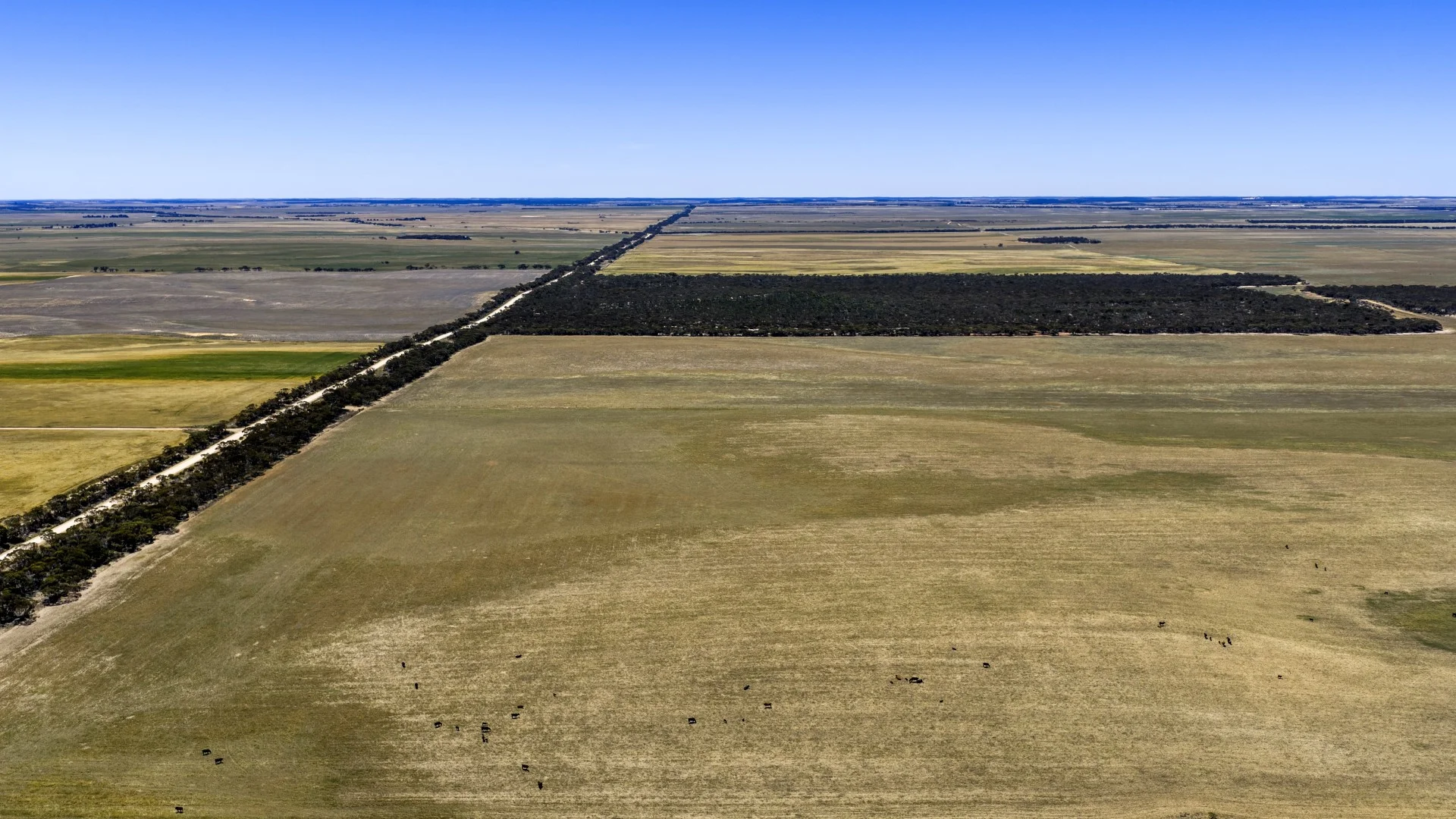 Additional image 29 of 1156 Parrakie North Road, Lameroo SA 5302