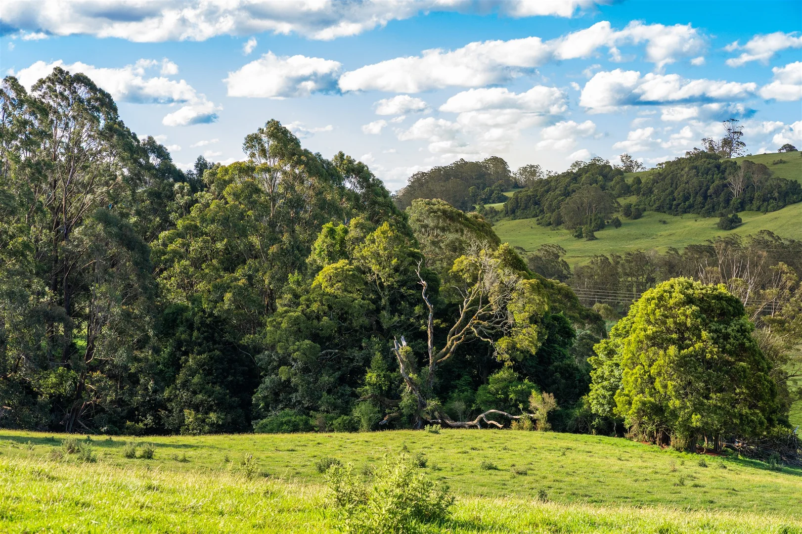 Additional image 17 of 4980 Illawarra Highway, Robertson NSW 2577