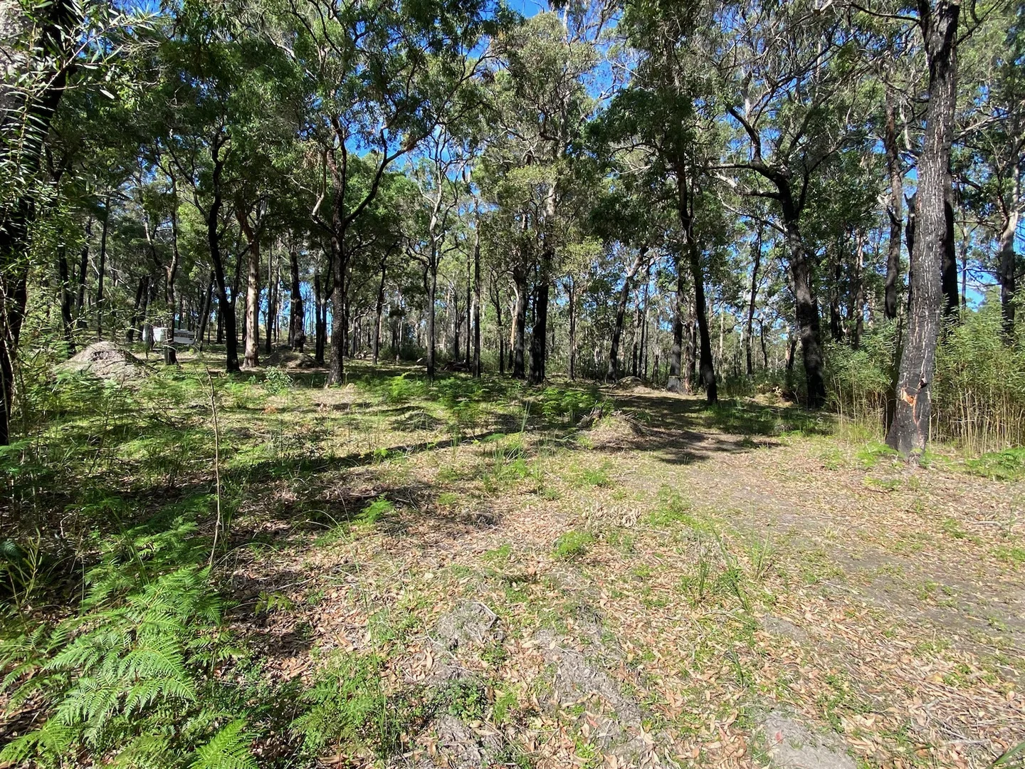 Additional image 4 of 72 Wonboyn Rd, Wonboyn VIA, Eden NSW 2551