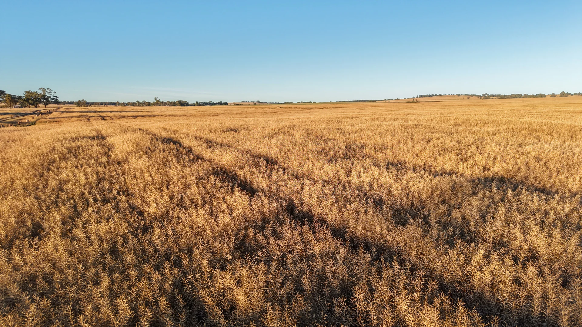 Additional image 5 of The Ranch 27R Plain Creek Road, Wongarbon NSW 2831