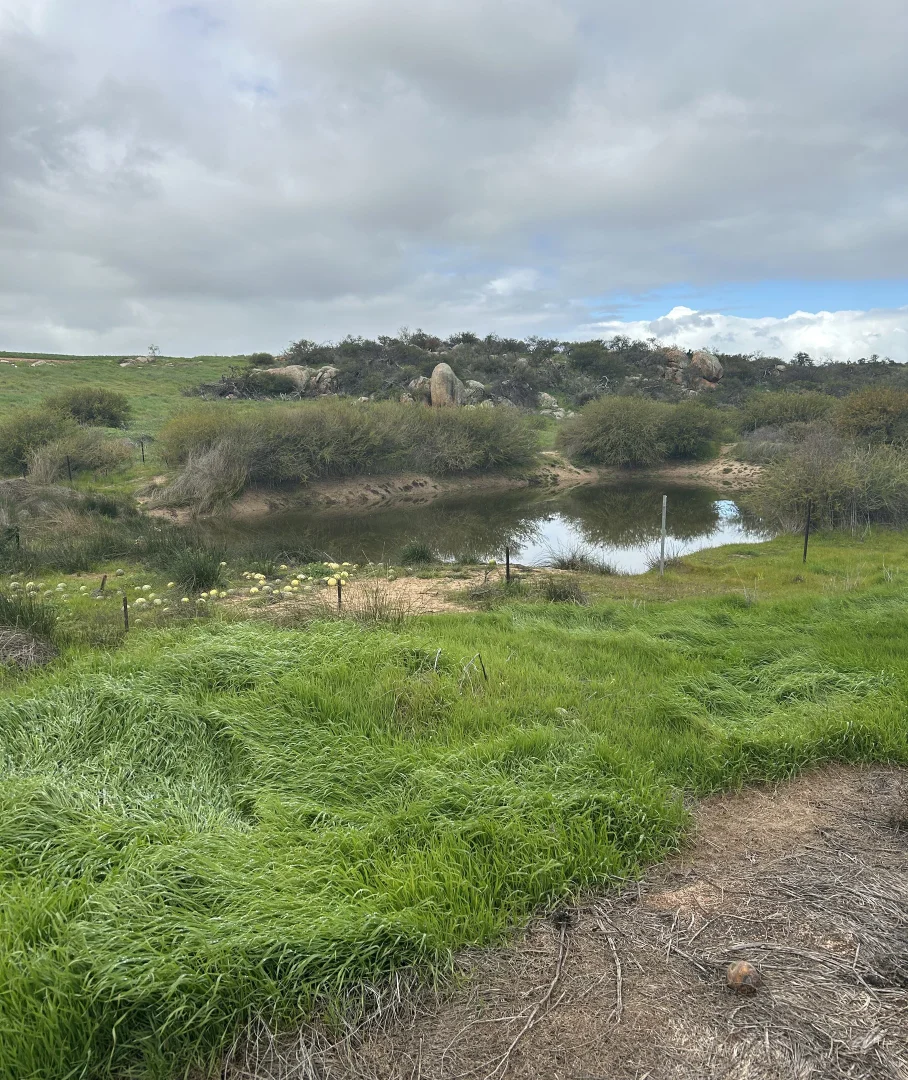 Additional image 3 of Lot 65 Forrester Road, Mount Erin WA 6532