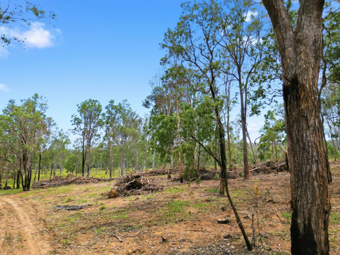 Additional image 10 of 1138 Old Lawrence Road, Deep Creek NSW 2469