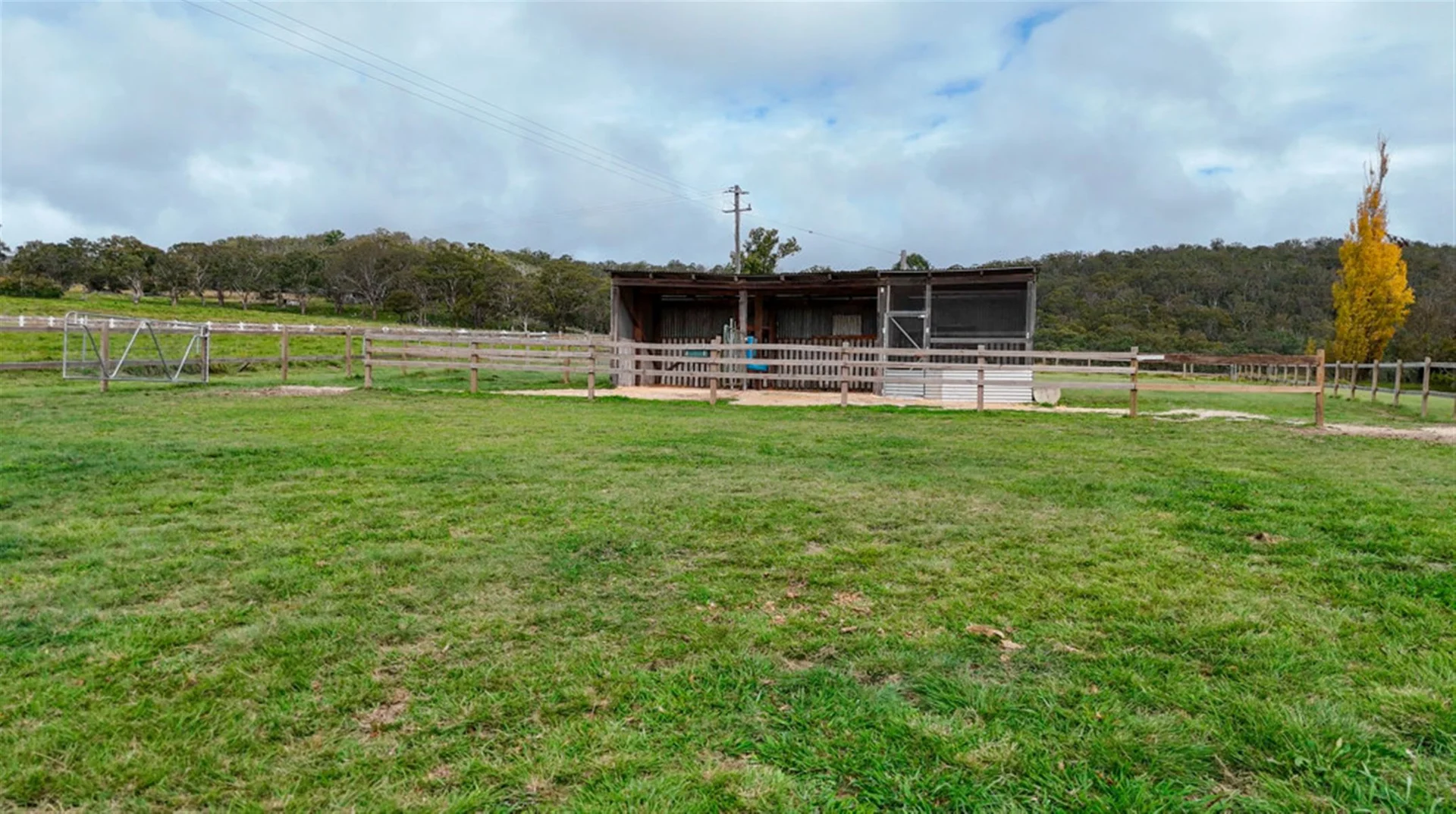 Additional image 25 of 12436 Bruxner Highway, Tenterfield NSW 2372
