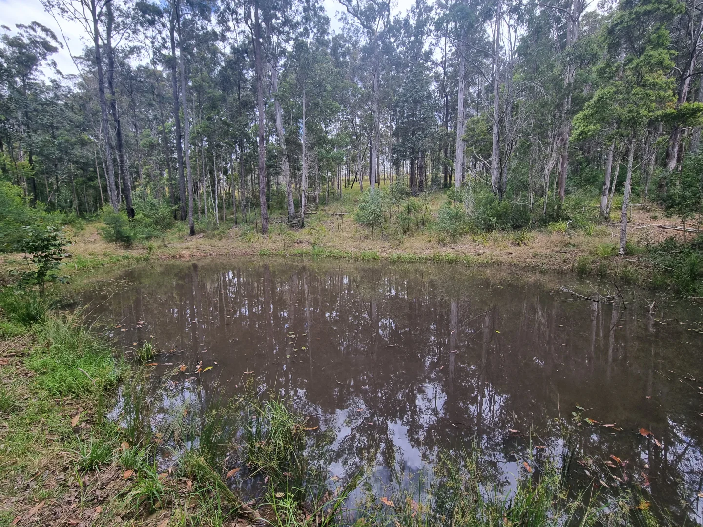 Additional image 7 of 0 SUNDAY CREEK ROAD, Jimna QLD 4515
