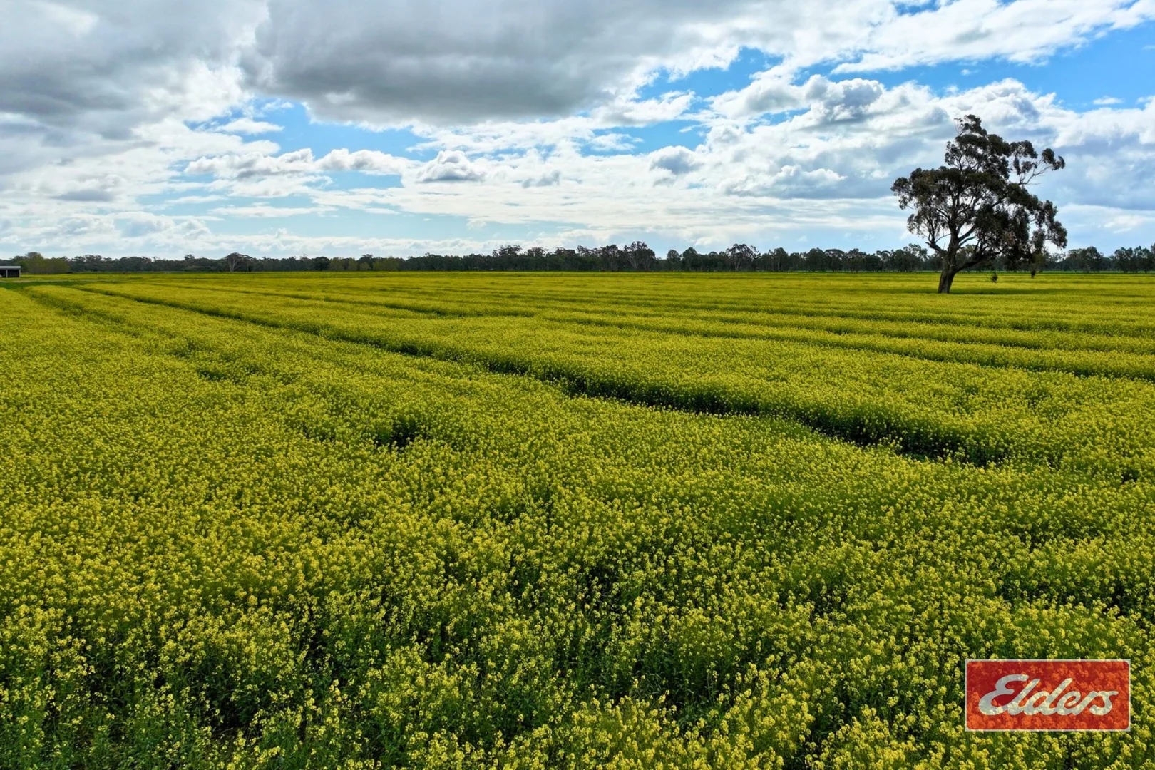 Additional image 3 of Lot 2 Old Barmah Road, Moama NSW 2731