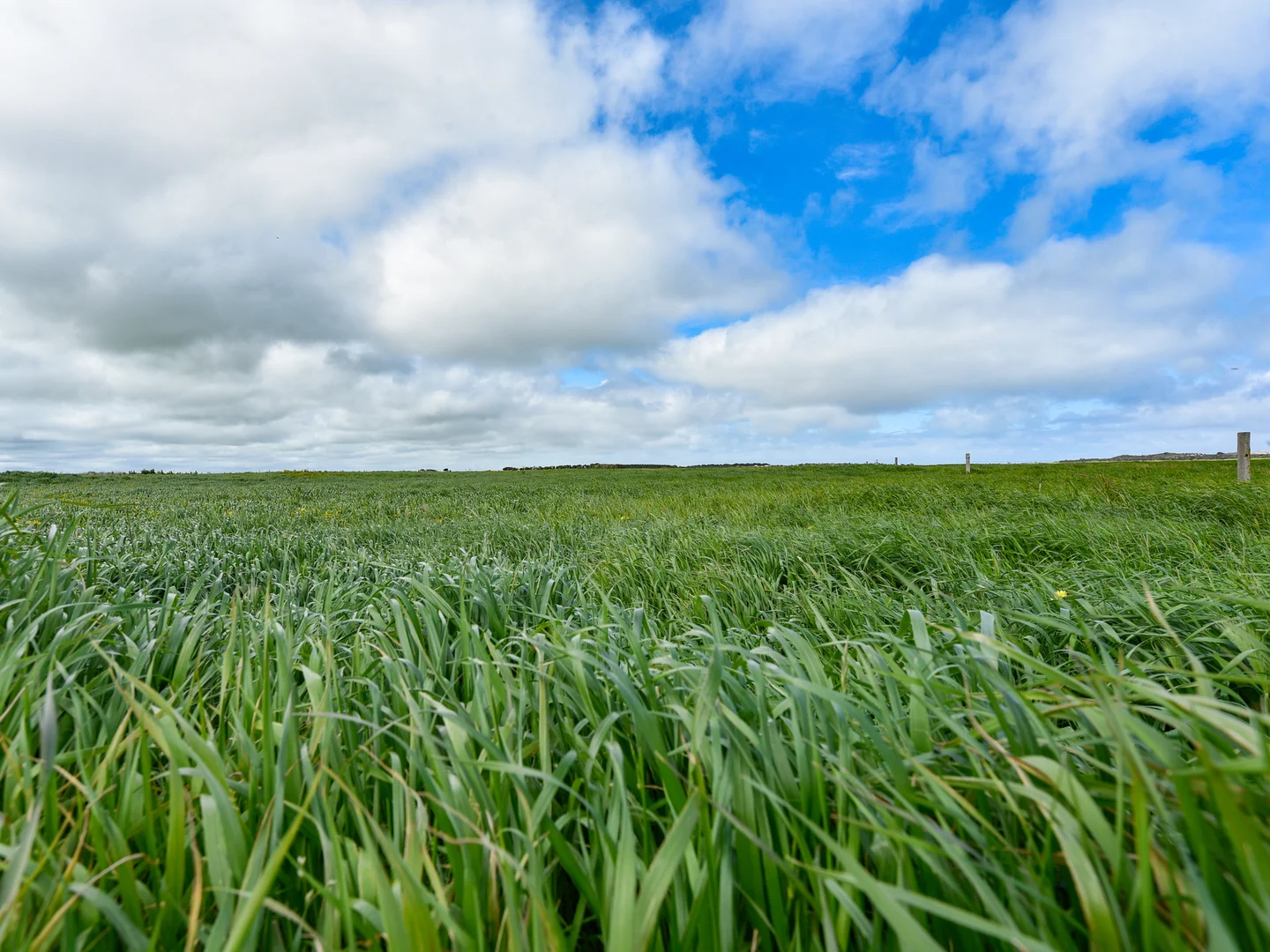 Additional image 6 of Spehrs Road, Nene Valley SA 5291
