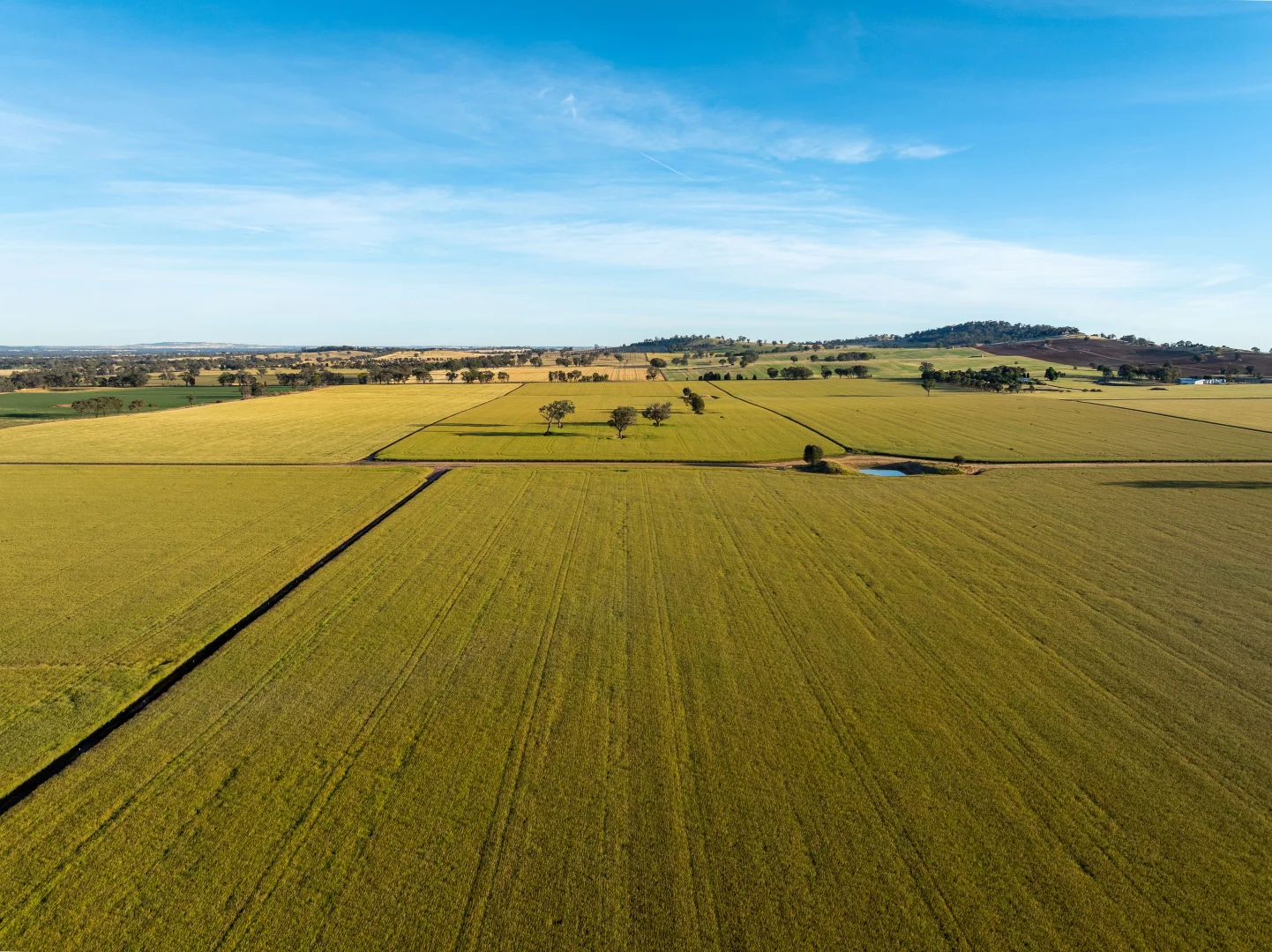 Additional image 8 of 158 Bethel Road, Burrumbuttock NSW 2642