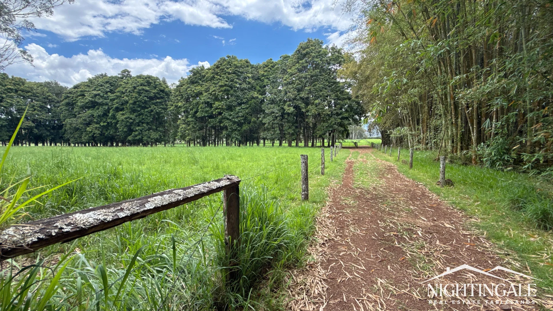 Additional image 8 of 8622 Kennedy Highway, Atherton QLD 4883