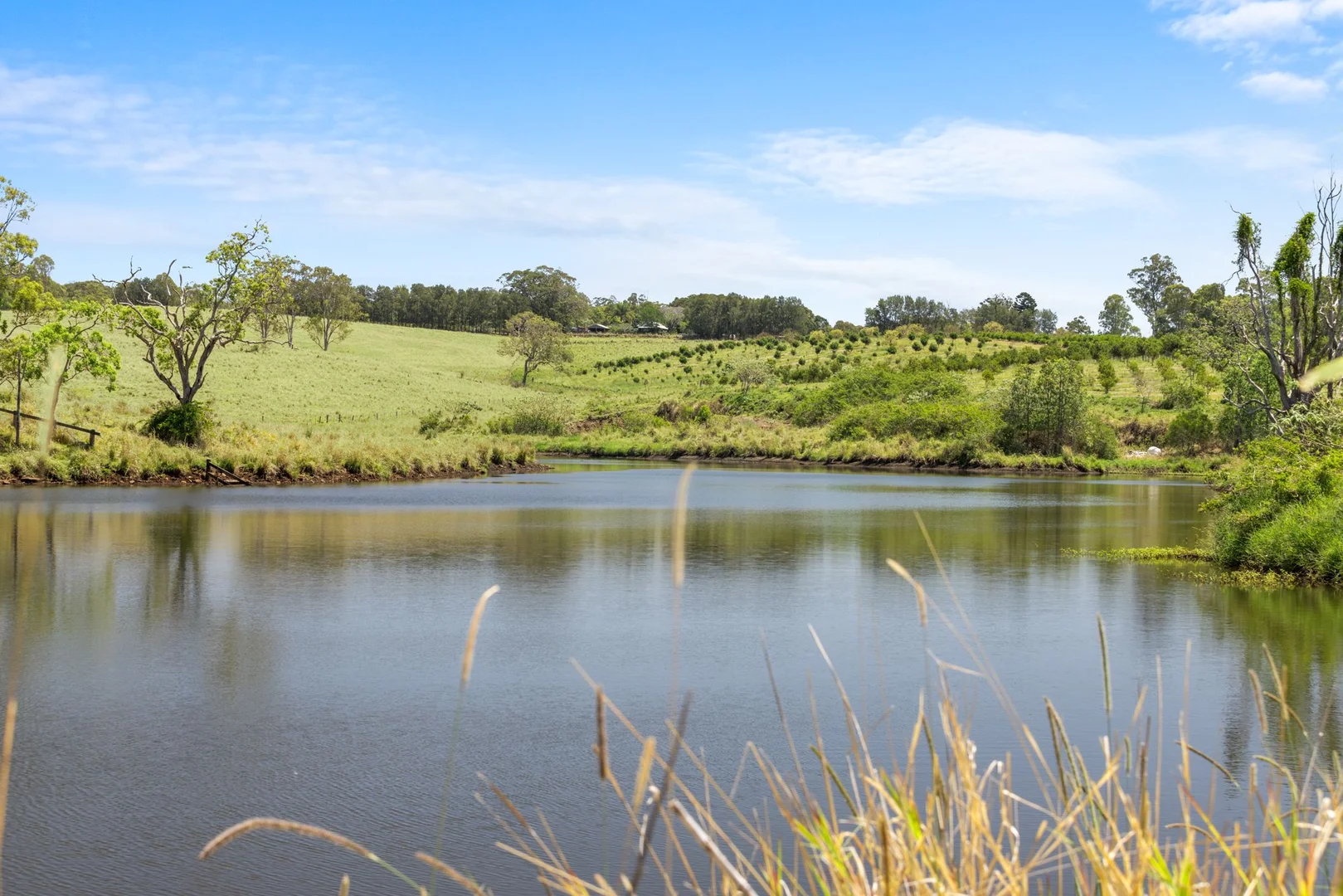 Additional image 27 of 1255 Bulmers Road, Hogarth Range NSW 2469