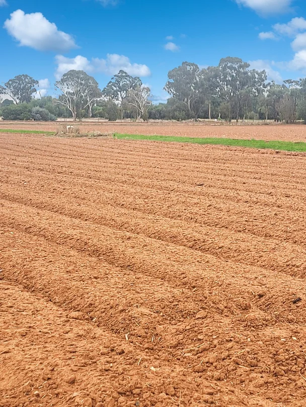 Additional image 3 of 450 Ferguson Road, Tatura East VIC 3616