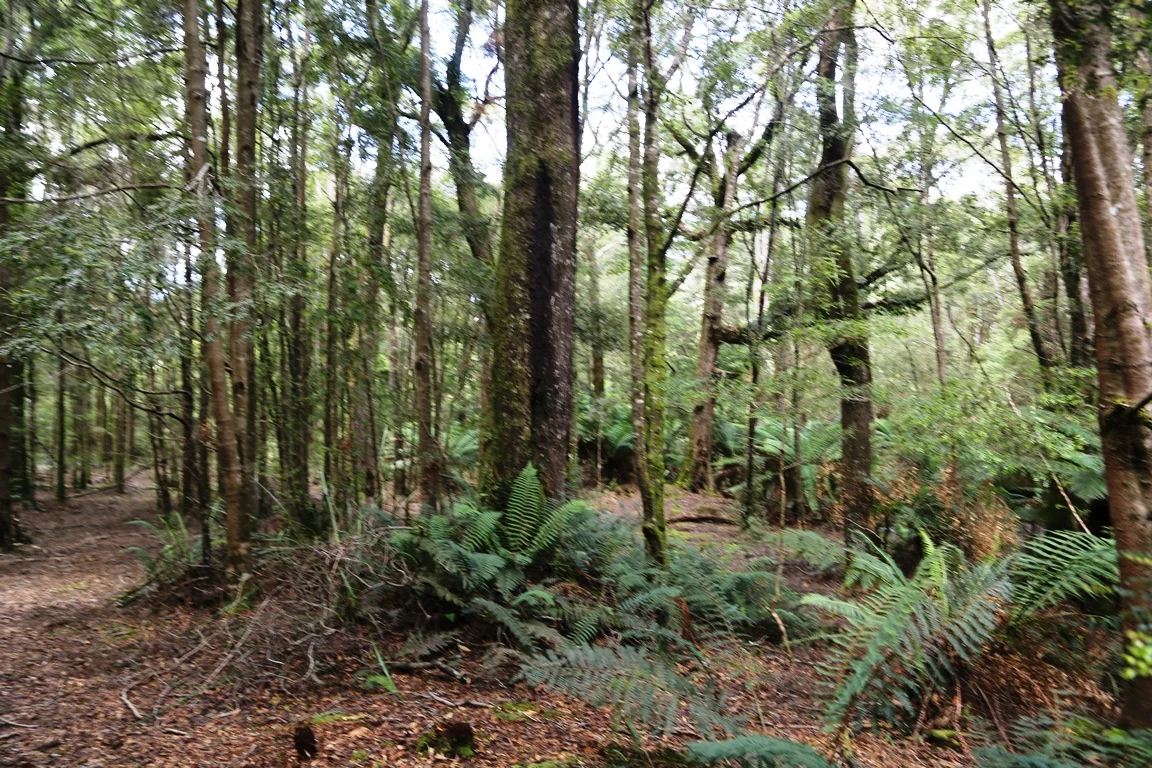 Additional image 17 of 1 Croles Road, Trowutta TAS 7330