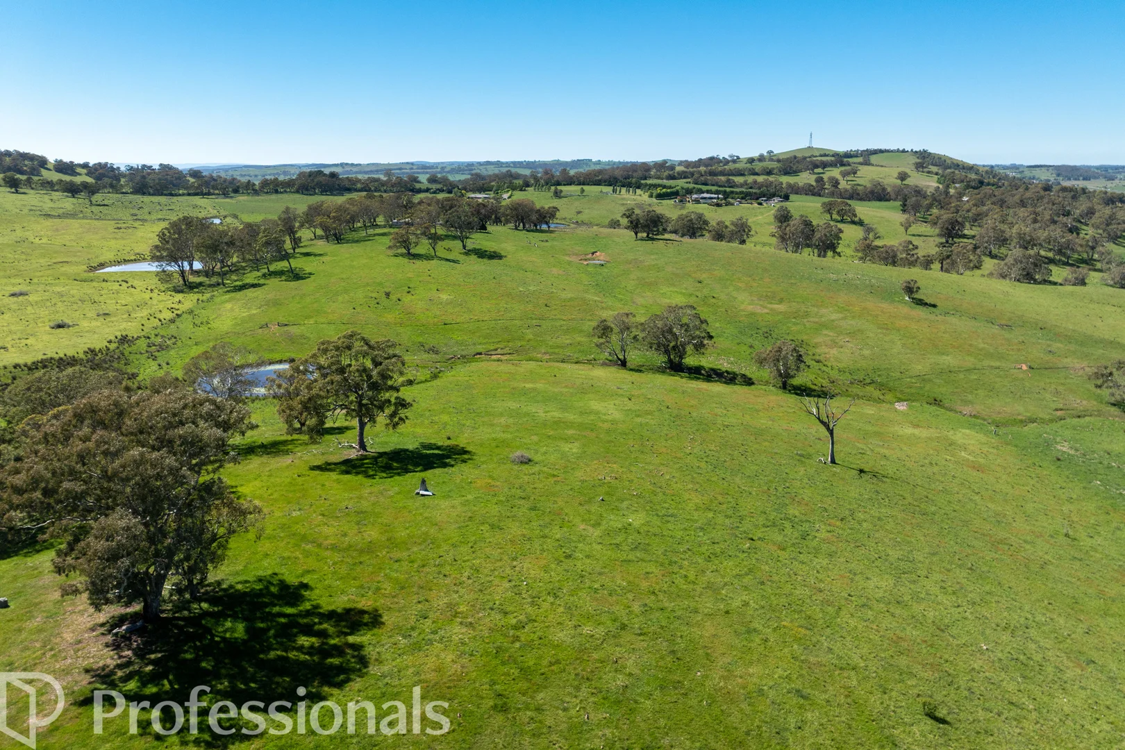 Additional image 34 of 225 Emu Swamp Road, Orange NSW 2800