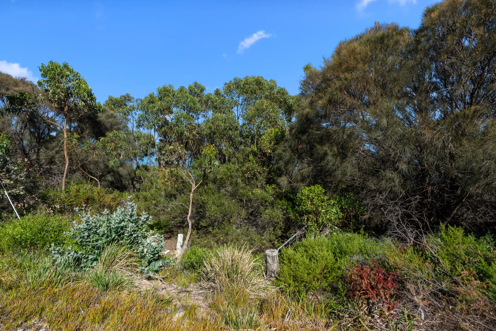 Additional image 9 of 596 White Beach Road, White Beach TAS 7184