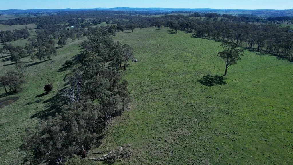 Additional image 5 of 719 Glen Legh Road, Glen Innes NSW 2370