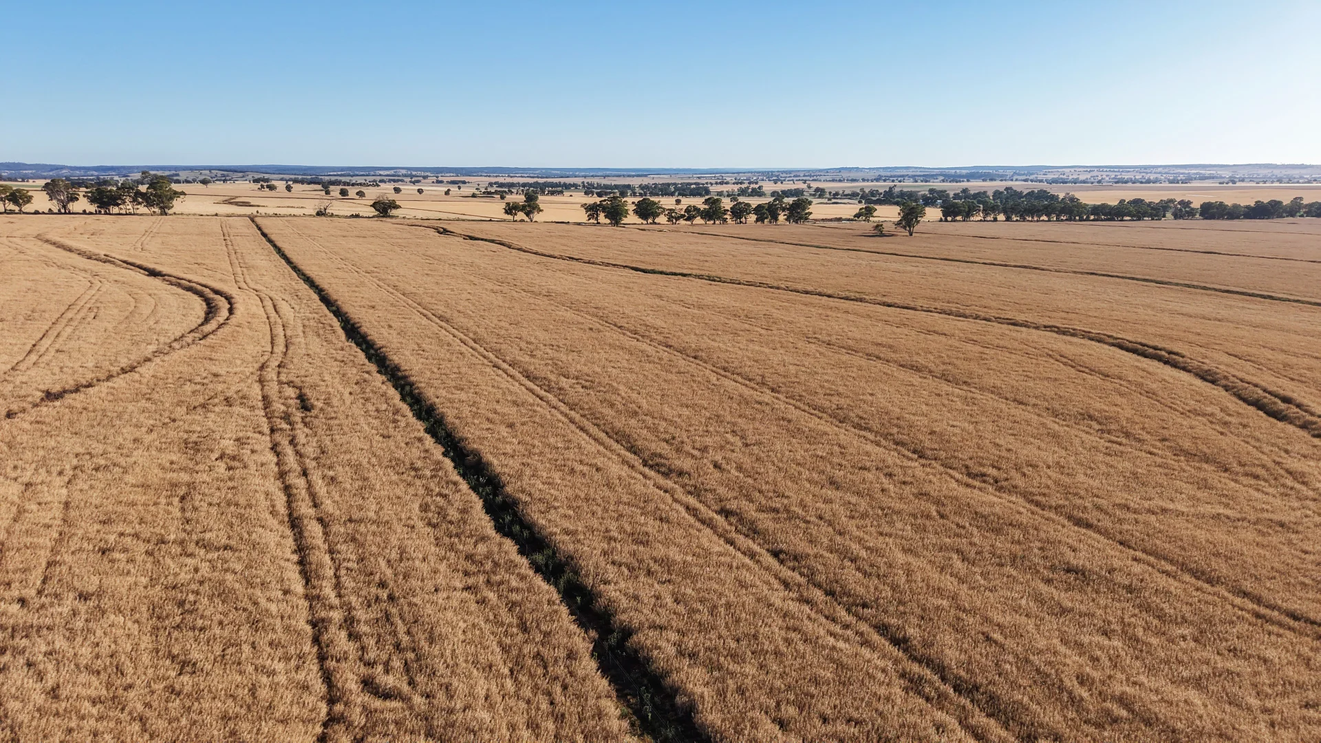 Additional image 9 of The Ranch 27R Plain Creek Road, Wongarbon NSW 2831