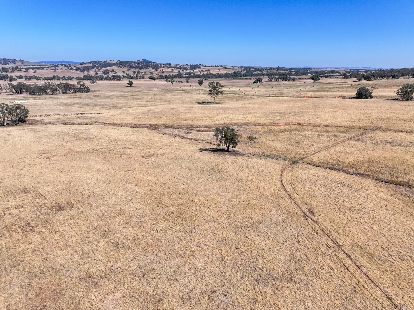 Additional image 6 of 'Yeronga' Piersons Road, Mangoplah NSW 2652