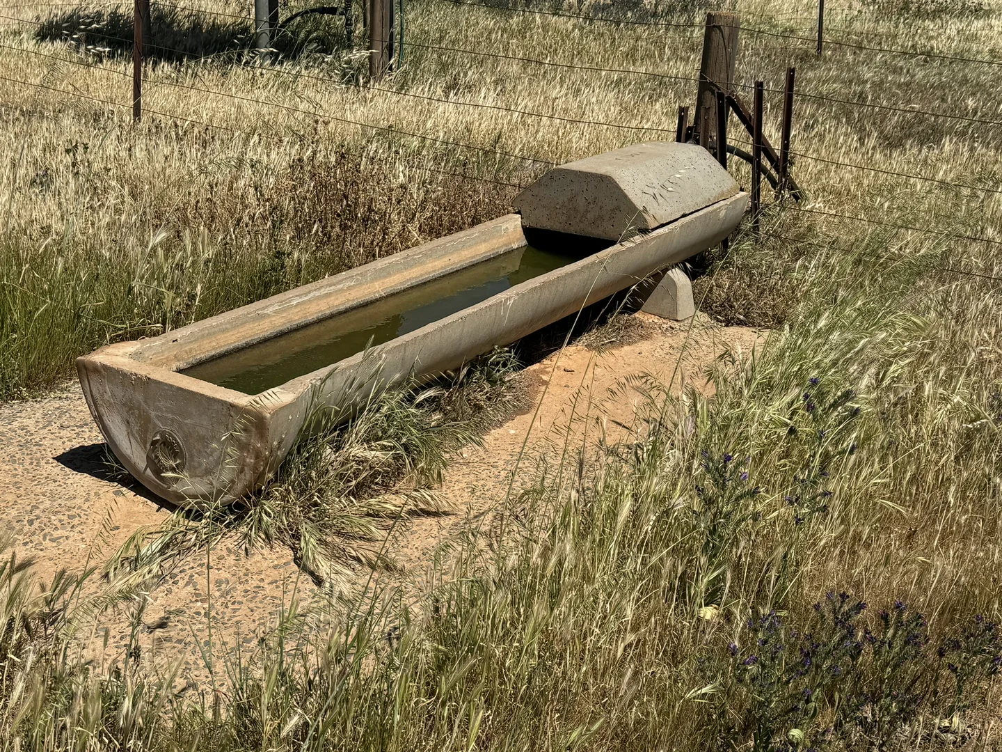 Additional image 37 of 1 Tohls Road, Booborowie SA 5417