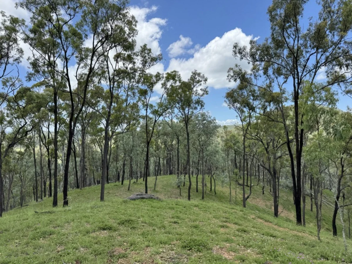 Additional image 26 of 2655 Clonmel Road, Monto QLD 4630