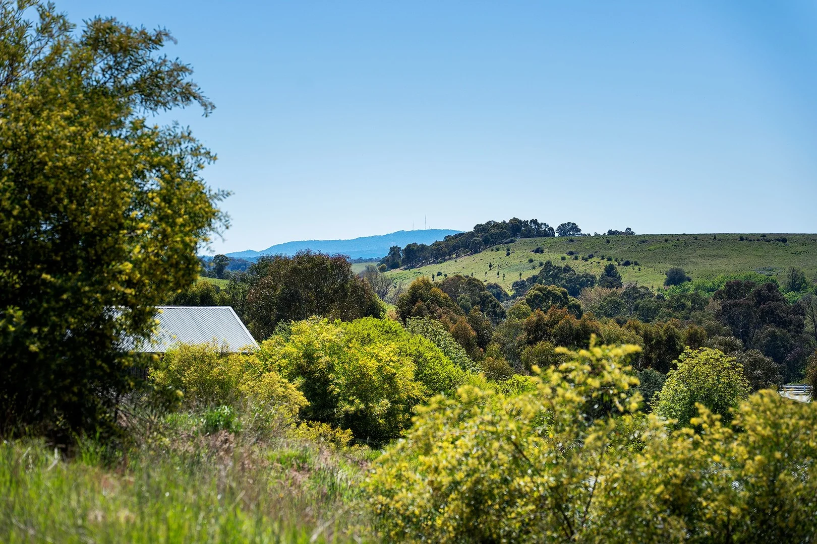 5 Franzi Street, Guildford VIC 3451