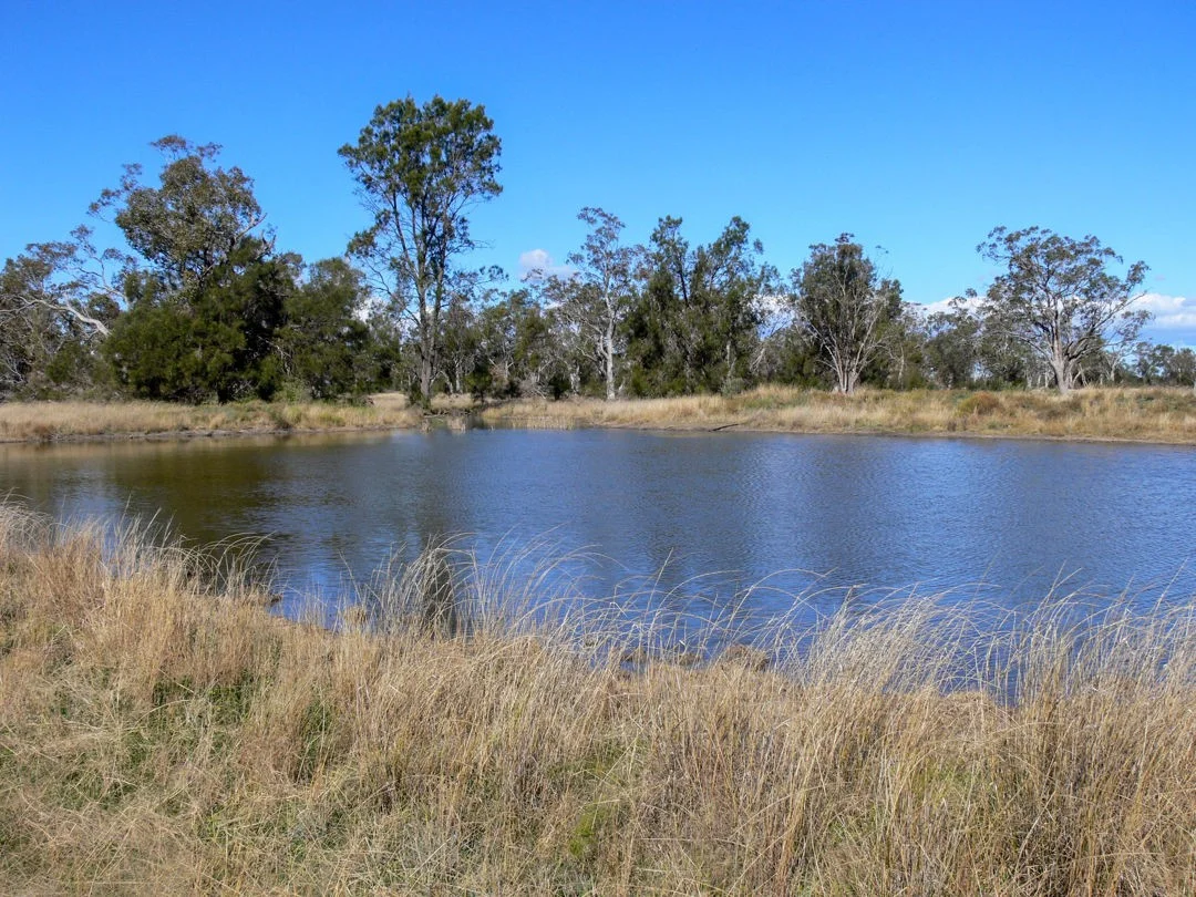 Additional image 13 of "FOREST VALE", Gurley NSW 2398