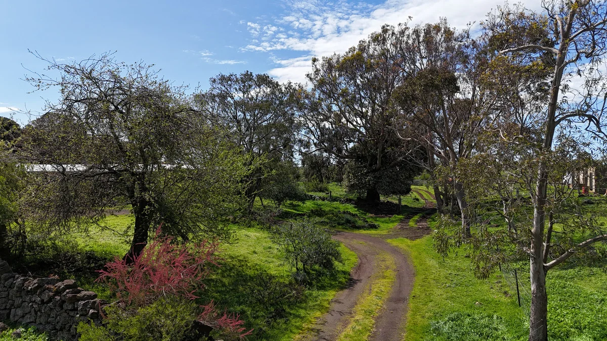 Additional image 14 of 220 Harlocks Road, Pomborneit North VIC 3260