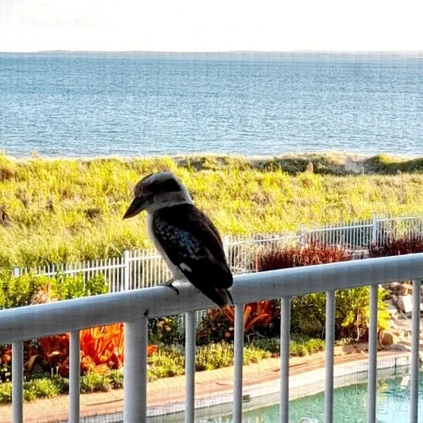 Additional image 5 of 171/17 Buccaneer Drive, Urangan QLD 4655