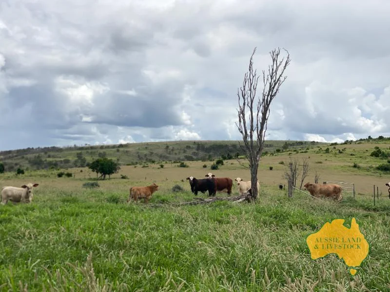 Additional image 10 of 474 Wigton Rd, Gayndah QLD 4625