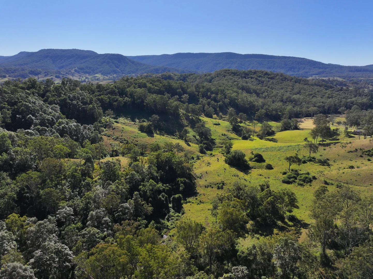 Additional image 13 of 2425 Pine Creek Rd, Lismore NSW 2480