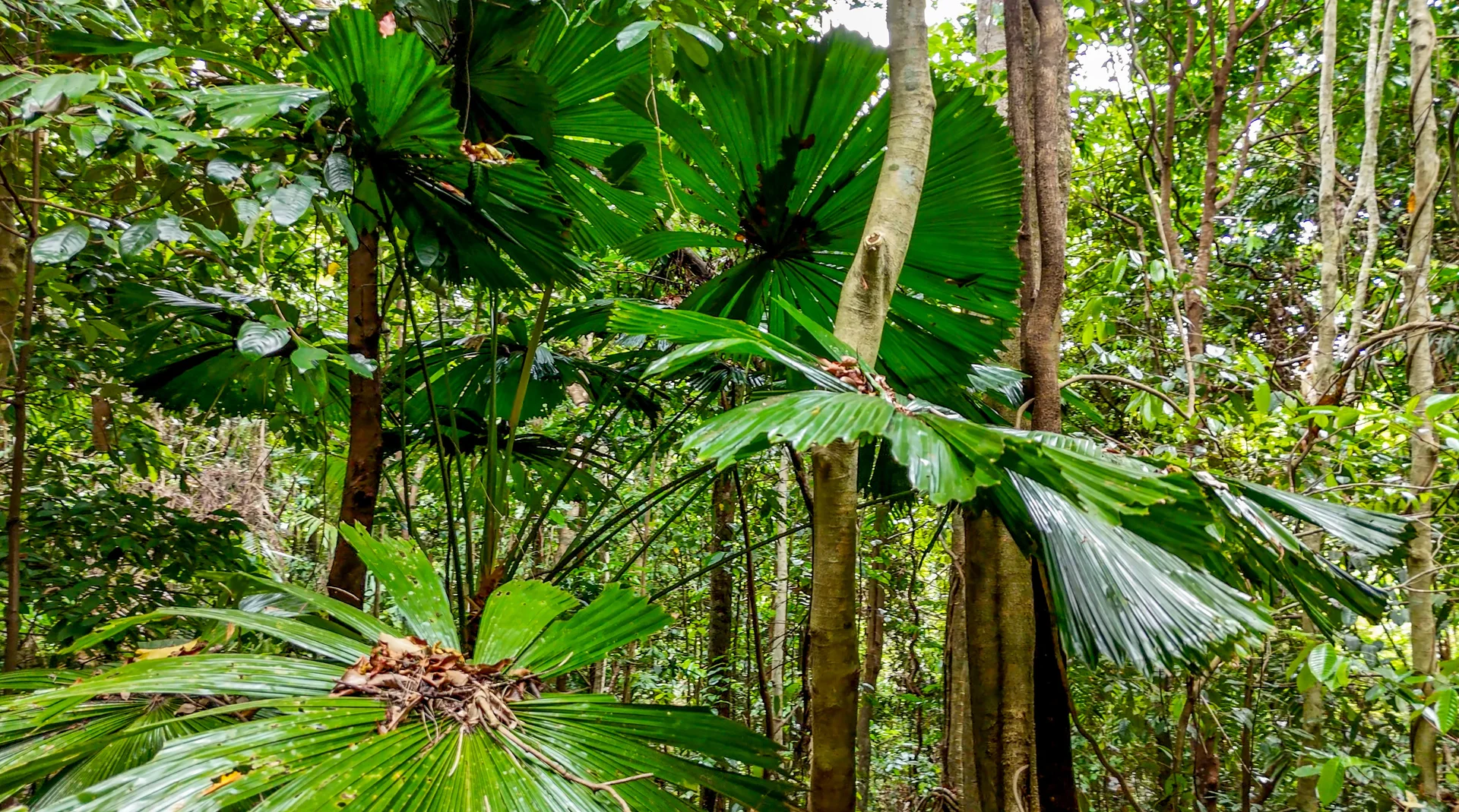 Additional image 11 of 28 Mission Circle, Wongaling Beach QLD 4852